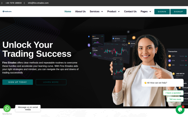 fins-etrades.com website screenshot