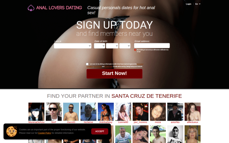 anal-lovers-dating.com Review website screenshot