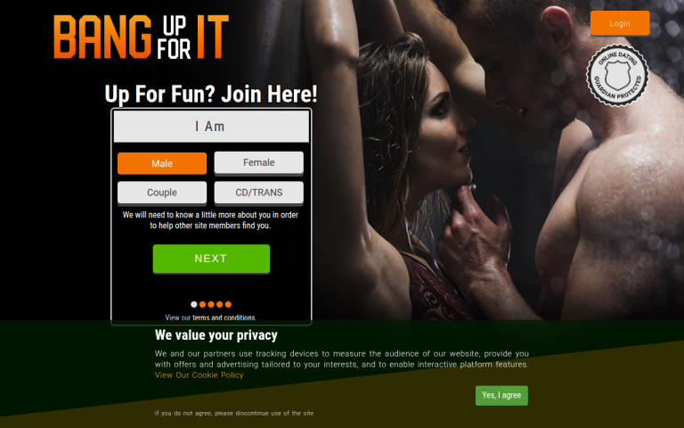 bangupforit.com Review website screenshot