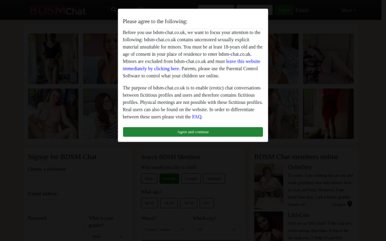 bdsm-chat.co.uk Review website screenshot