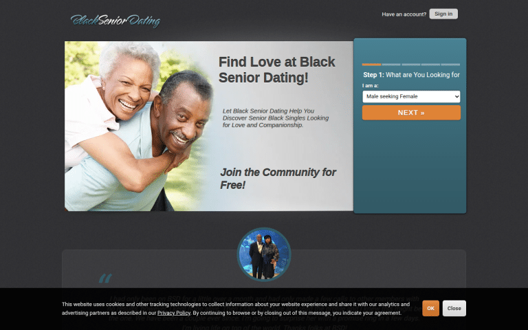 blackseniordating.net Review website screenshot