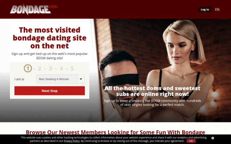 bondagedating.com Review website screenshot