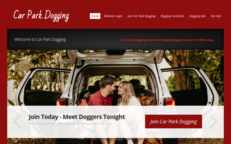carparkdogging.com Review website screenshot