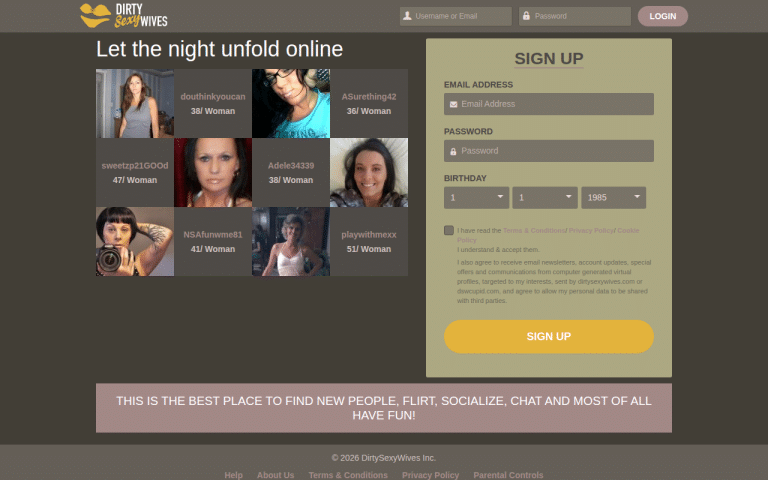 dirtysexywives.com Review website screenshot