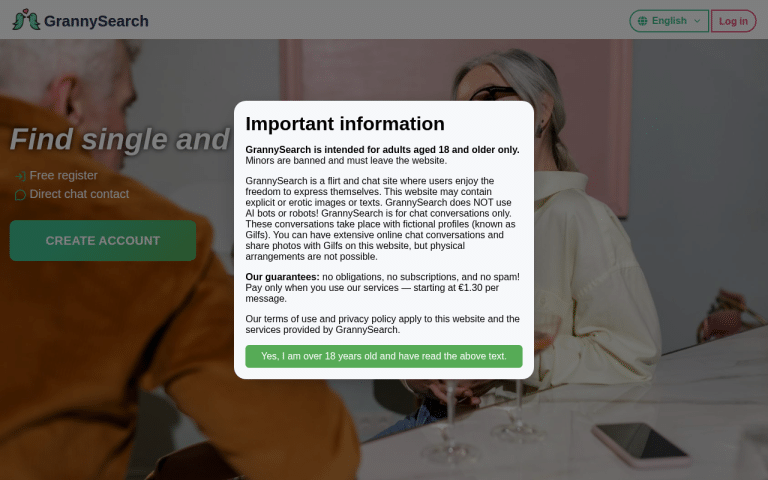 grannysearch.com Review website screenshot