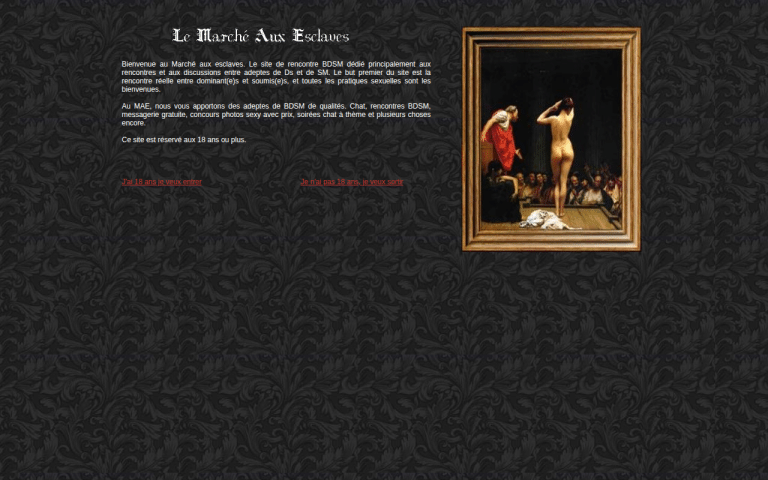 marcheauxesclaves.com Review website screenshot