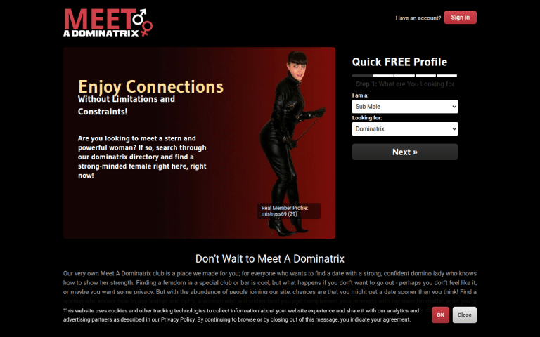 meetadominatrix.com Review website screenshot