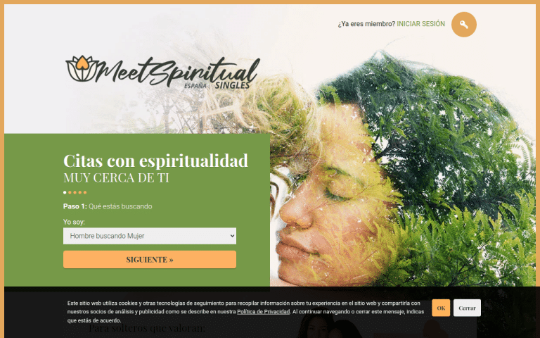 meetspiritualsingles.com Review website screenshot