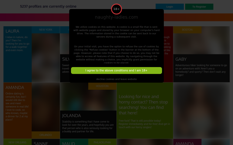 naughty-ladies.com Review website screenshot