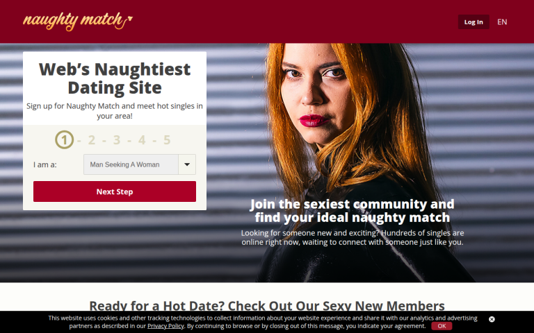naughtymatch.com Review website screenshot