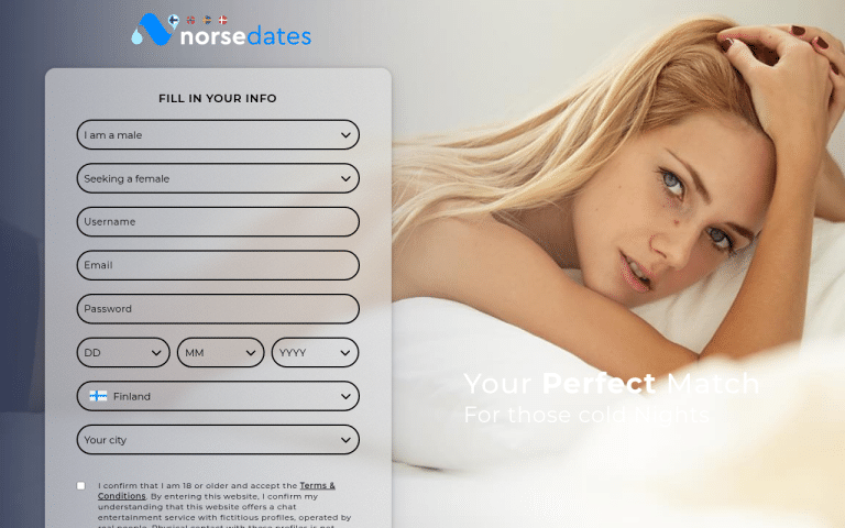 norsedates.com Review website screenshot