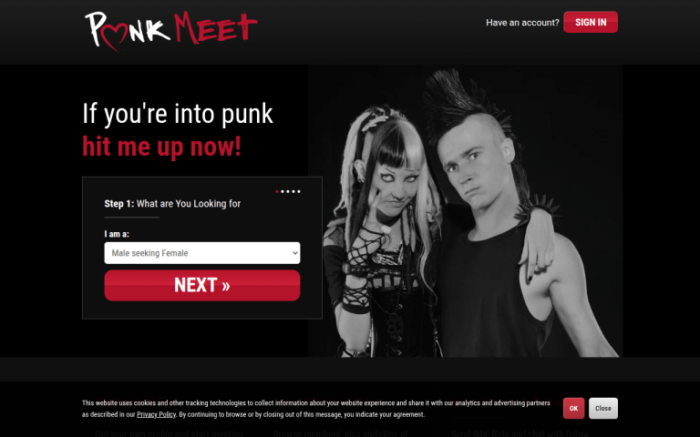 punkmeet.com Review website screenshot