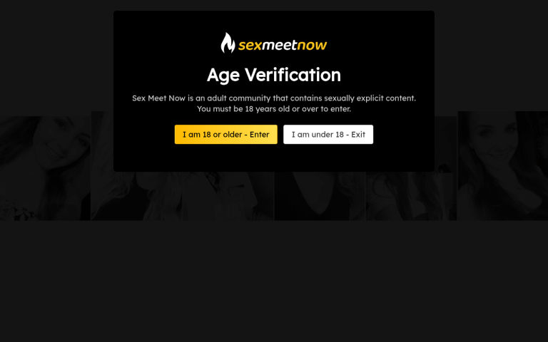 sexmeetnow.com Review website screenshot