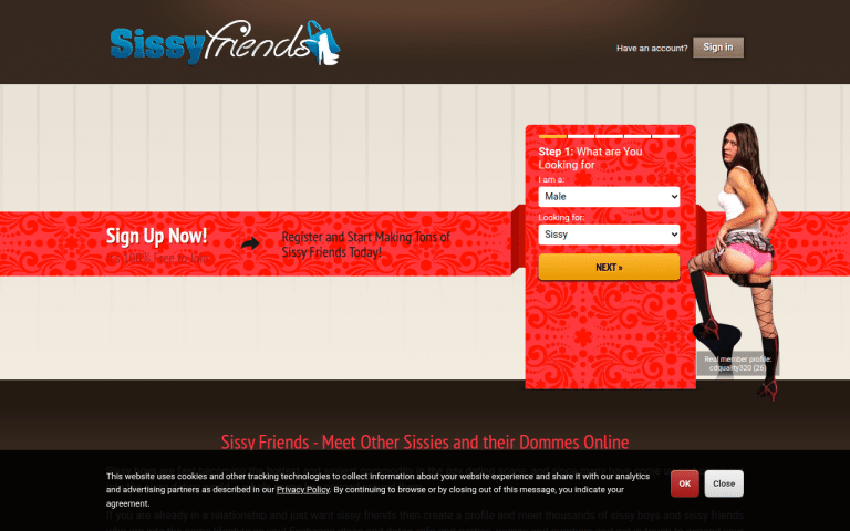sissyfriends.com Review website screenshot