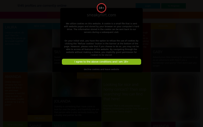 sneakyflirt.com Review website screenshot