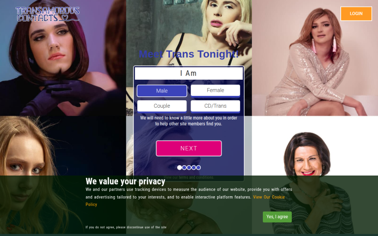 transamorouscontacts.com Review website screenshot