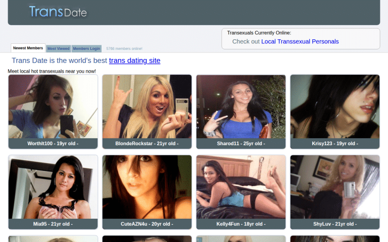 transdate.com Review website screenshot