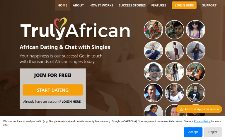 trulyafrican.com Review website screenshot