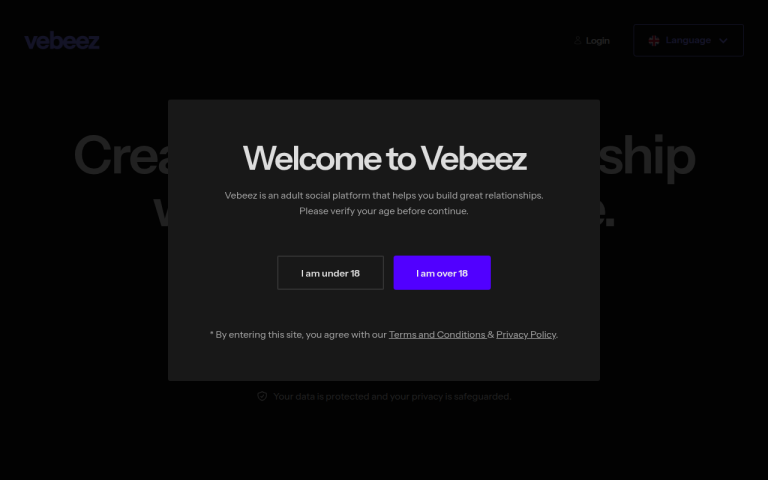 vebeez.com Review website screenshot